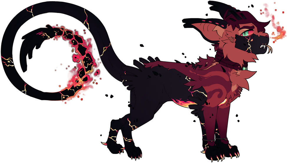 Normal cat/feral style